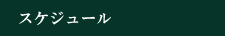 スケジュール